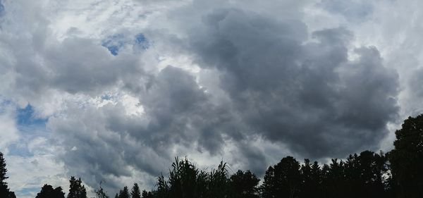 Low angle view of trees against cloudy sky