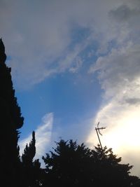 Low angle view of trees against cloudy sky