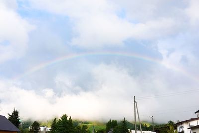 Rainbow over trees against sky