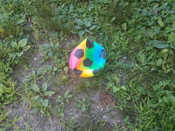 High angle view of multi colored balloons on field