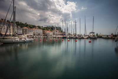 Sailboats moored in harbor