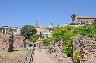 Buildings in city