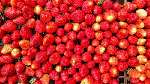 Full frame shot of strawberries for sale at market stall