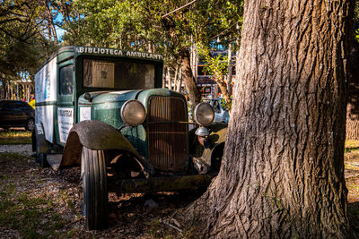 Abandoned vehicle on tree trunk