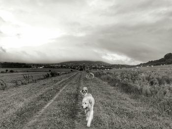 Dirt road in field