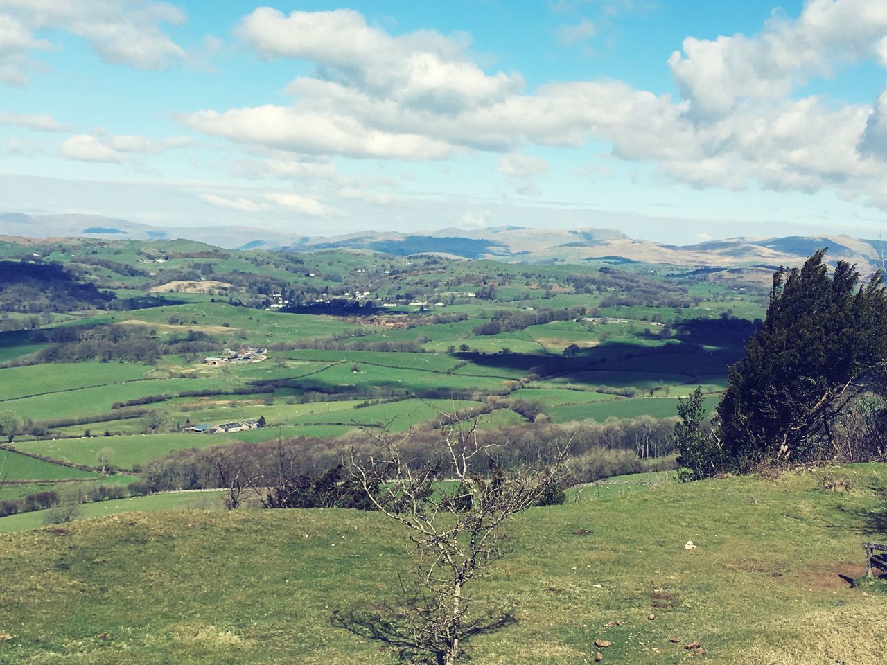 landscape, sky, tranquil scene, mountain, tranquility, scenics, grass, beauty in nature, cloud - sky, field, nature, green color, cloud, mountain range, hill, non-urban scene, tree, grassy, rural scene, idyllic