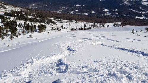 Scenic view of snow covered landscape