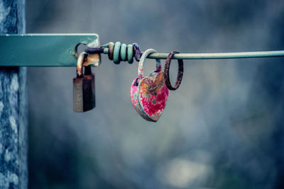 Close-up of padlocks hanging on metal