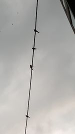 Low angle view of silhouette bird flying against sky