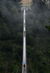 Geierlay suspension bridge