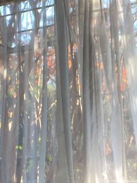 Sun shining through trees