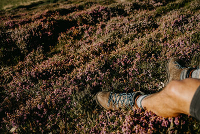 Low section of man standing on flowering plants