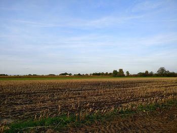 Scenic view of agricultural field against sky