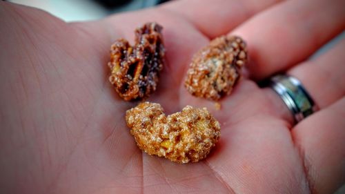 Close-up of nuts on human palm