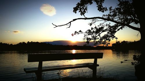 Silhouette of trees at sunset