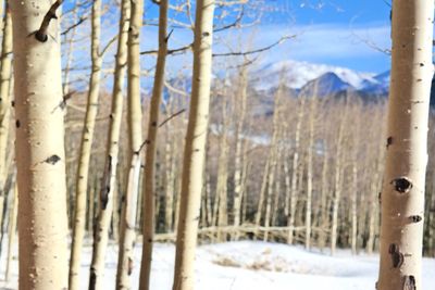 Scenic view of snow covered mountains against sky