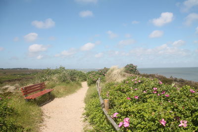 A bench close to the north sea coast