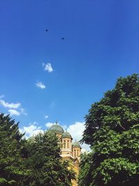 Low angle view of birds flying against blue sky