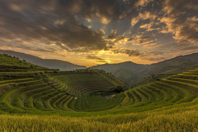 Scenic view of agricultural field against sky during sunset