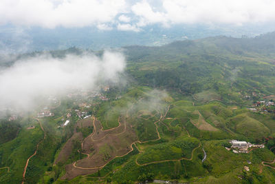 Top view of tea estate landscape through clouds. sri lanka. landscape with green fields of tea.