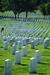 View of cemetery