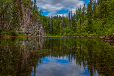 Scenic view of lake in forest against sky