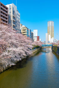 River amidst buildings against clear blue sky