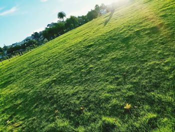 View of grassy field against sky