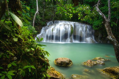 Scenic view of waterfall in forest