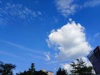 Low angle view of trees against blue sky