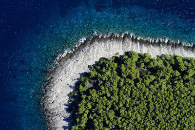 Aerial view of coastline with pine forest, hvar island, croatia