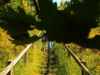 Rear view of woman walking on tree