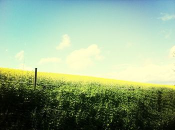 Scenic view of field against cloudy sky