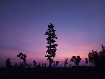 Silhouette trees on field against sky at sunset