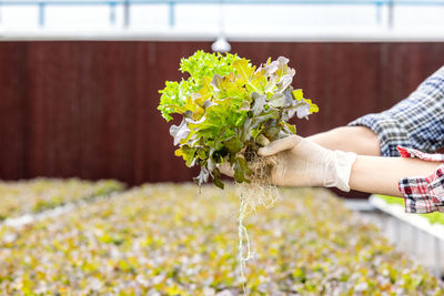 Midsection of woman holding flower bouquet