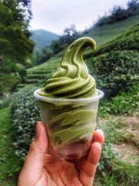 Cropped image of person holding ice cream