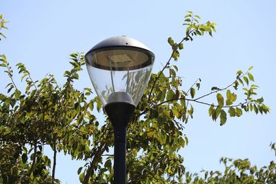 Low angle view of lamp post by branches against sky