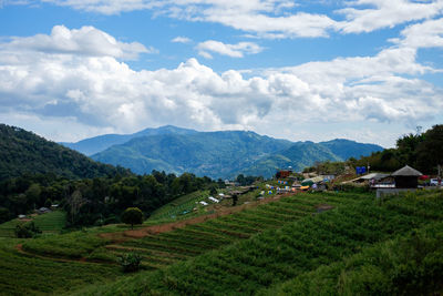 Scenic view of agricultural field against sky