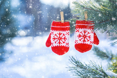 Close-up of christmas decorations hanging on tree during winter