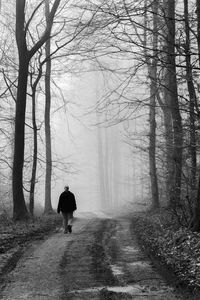 Rear view of silhouette woman walking on road in forest