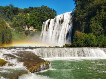 Scenic view of waterfall in forest