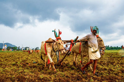 Farmer working on field