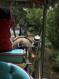 People riding motorcycle on trees