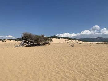 Scenic view of desert against sky