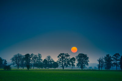 Trees growing on field against sky during sunset