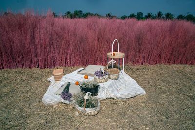 Street light on field