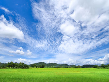 Scenic view of agricultural field against sky