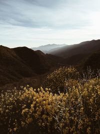 Scenic view of valley and mountains against sky