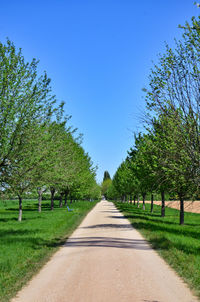 Empty road amidst trees against clear blue sky