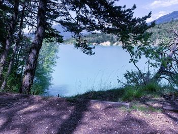 Scenic view of lake amidst trees against sky